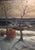 View of Bad Schandau and the Lilienstein in Winter, Oil Painting on Panel For Sale - Image 10 of 12