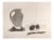 Pablo Picasso, Nature Morte au Pot de Grès, Lithograph, 1947 For Sale - Image 4 of 4