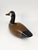 Cabin Vintage Hand Carved 7.5" Wood Canada Goose Decoy by Jim Harkness For Sale - Image 3 of 14