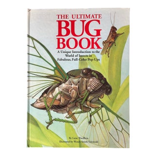 Bug Pop Up Book For Sale