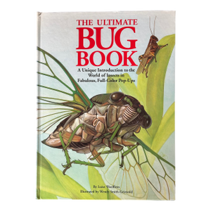 Bug Pop Up Book