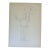 “Catching the Rain” Original Pencil Drawing by Nancy Smith For Sale