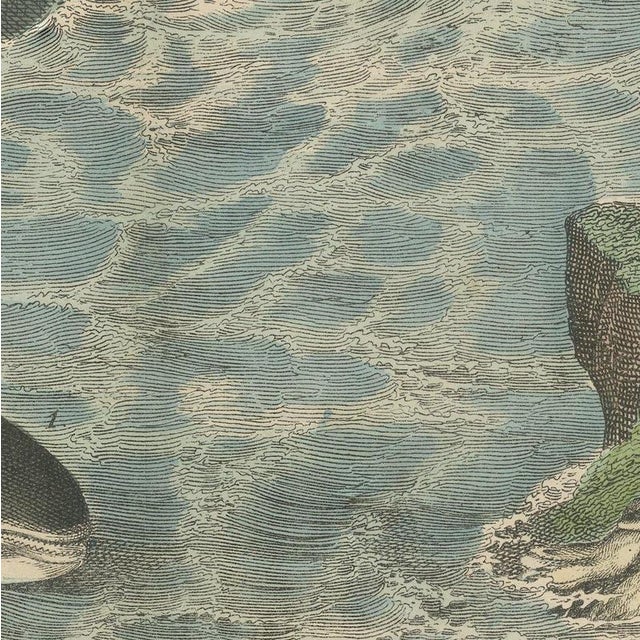 Beige Carl Friedrich August, Sperm Whale with Porpoise and Seals, Kolb Mammals, 1890, Print For Sale - Image 8 of 12