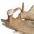 Swiss Black Forest Fallow Deer and Stag Antler Bowl For Sale - Image 10 of 12