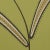 Abstract Sample - Schumacher x Neisha Crosland Caterpillar Leaf Wallpaper in Meadow Green For Sale - Image 3 of 5