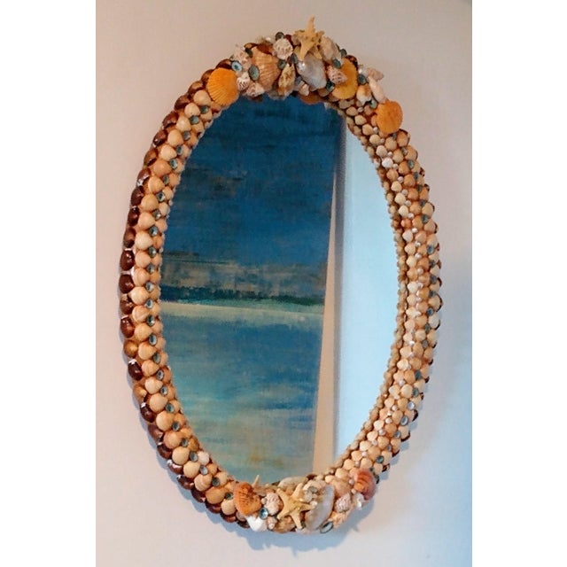 Oval Orange Sea Shell Mirror | Chairish