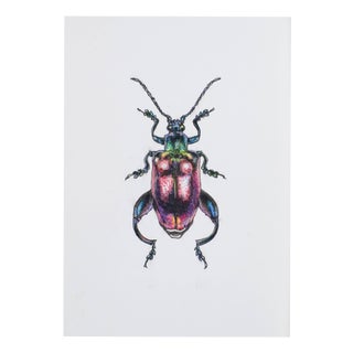 Juris Utans, Muscled Beetleman, 2021, Mixed Media on Paper For Sale
