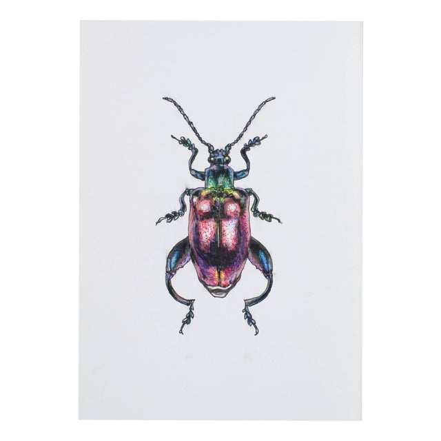 Juris Utans, Muscled Beetleman, 2021, Mixed Media on Paper For Sale