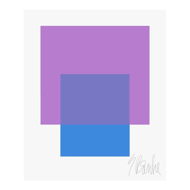 The Interaction of Purple and Blue Fine Art Print 30" X 40" by Liz Roache For Sale