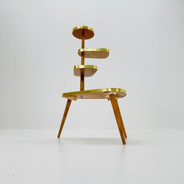Large Mid-Century Minimalist Plant Stand, Germany, 1950s For Sale - Image 9 of 10