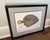 Vintage Original Gyotaku Fish Print “Windowpane” by David J. Denick | Framed Coastal Fishing Art, Signed For Sale - Image 11 of 12