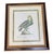 This sophisticated set of four vintage natural history prints offers a timeless, regal aesthetic perfect for classic,...