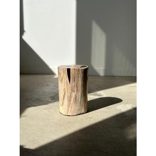 Wood Side Table in White Petrified Wood with Black Spots For Sale - Image 7 of 18