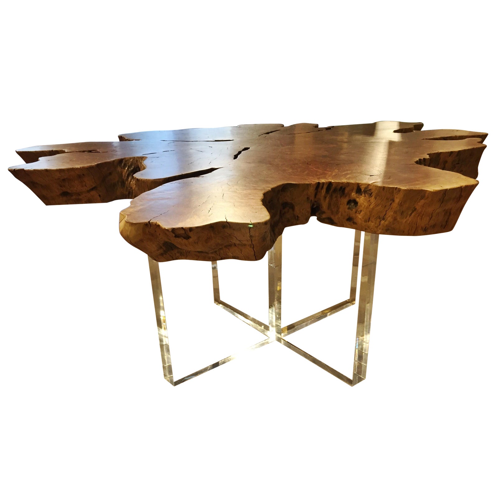 Star Root Coffee Table with Acrylic Base Chairish