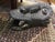 Large Vintage Bamileke West African Carved Mask For Sale In Charleston - Image 6 of 10