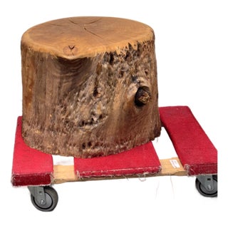 Organic Modern Live Edge Tree Side Table/ Stool For Sale