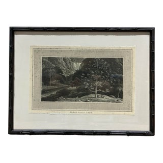 Natural Curiosities “Bread Fruit Tree” Botanical Landscape Print, Framed For Sale
