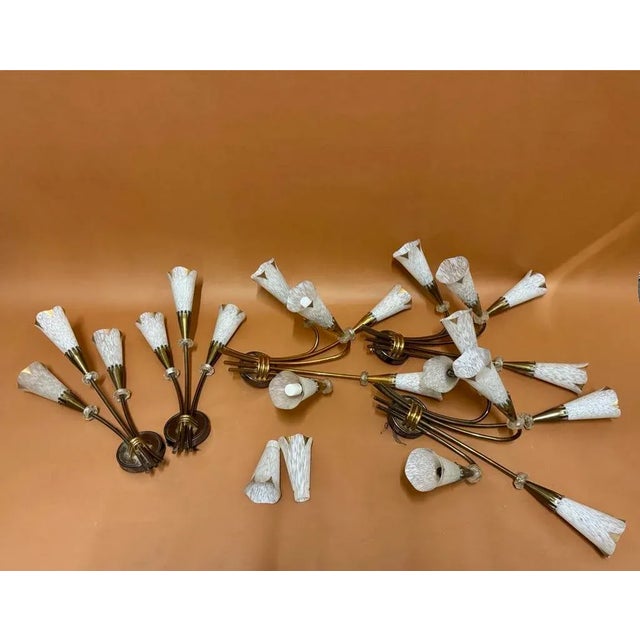 Vintage French Wall Lamps from Maison Arlus, 1950s, Set of 5 For Sale - Image 4 of 17