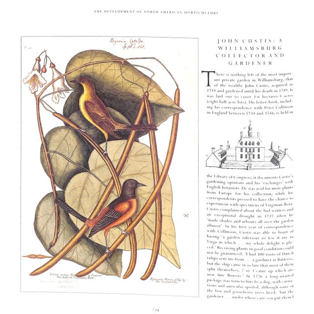 "Penelope Hobhouse's Gardening Through the Ages" 1992 Hobhouse, Penelope For Sale In New York - Image 6 of 12