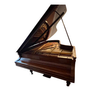 Steinway & Sons 1906 Model C World Class Grand Piano