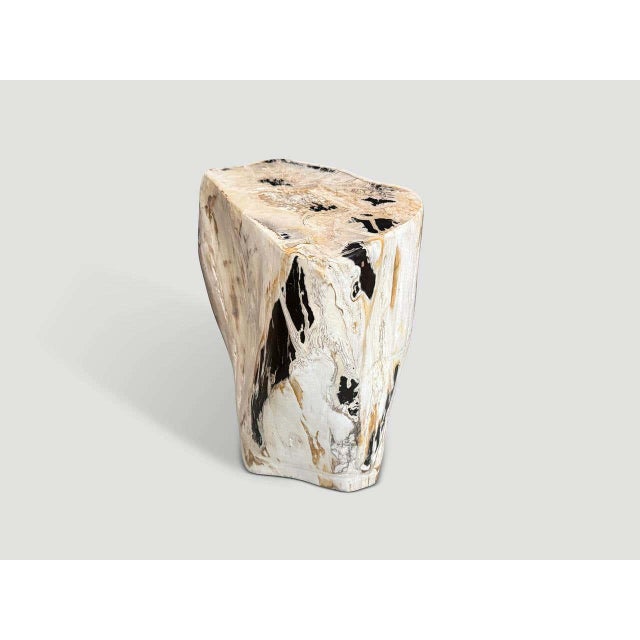Andrianna Shamaris Multifaceted Modern Organic Petrified Wood Side Table For Sale - Image 4 of 6