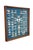 Vintage shadow box, includes: Sand Dollar (Clypeasteroida spp.), Spiny Oyster Shell (Spondylus spp.), Common Sea Star or...