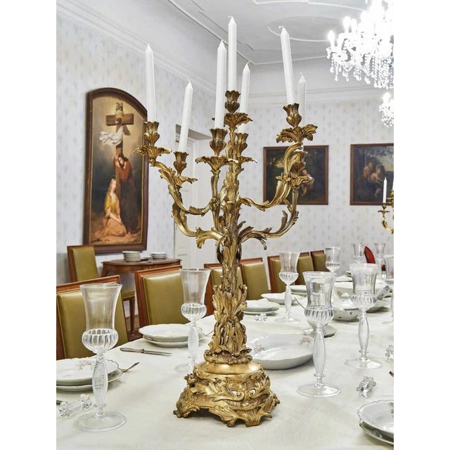 A beautiful pair of heavy cast brass candlesticks represents the pinnacle of elegance and craftsmanship. Richly decorated...