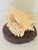 Coastal 1970s Coastal Large Conch Shell on Wood Slab Stand For Sale - Image 3 of 3