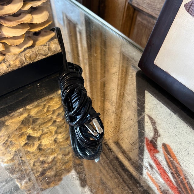 Currey & Company Pair of Oyster Shell Lamps For Sale - Image 12 of 12