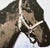 After Andy Warhol, Horse, 1980s, Print For Sale - Image 3 of 5