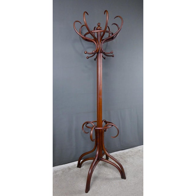 Large Early 20th Century Parrot Coat Rack in Bent Beechwood in the style of Thonet For Sale - Image 11 of 18