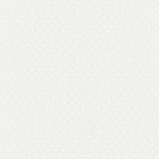 Schumacher Rosabel Dot Sheer Fabric in White For Sale