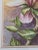 Pink Vintage Original Budding Pink Lily Flower Still Life Watercolor Painting For Sale - Image 8 of 8