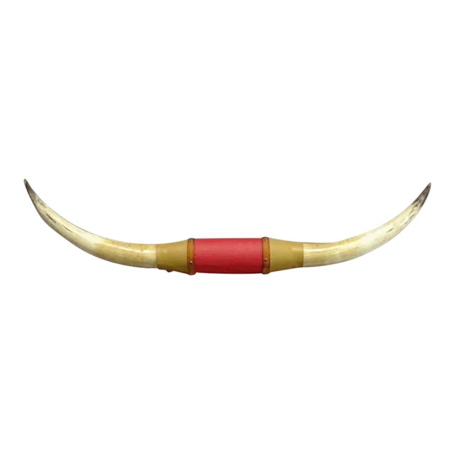 1980s Large Mounted Steer Horns With Red Leather For Sale