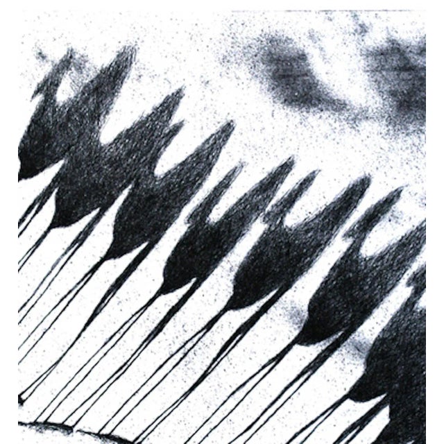 Shadow of Camels - Original Etching by Tullio Diamanti - 1980 ca. For Sale - Image 4 of 5