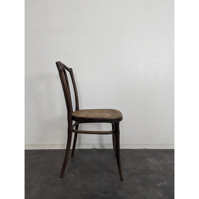 Dining Chairs from Thonet, Set of 4 For Sale - Image 5 of 9