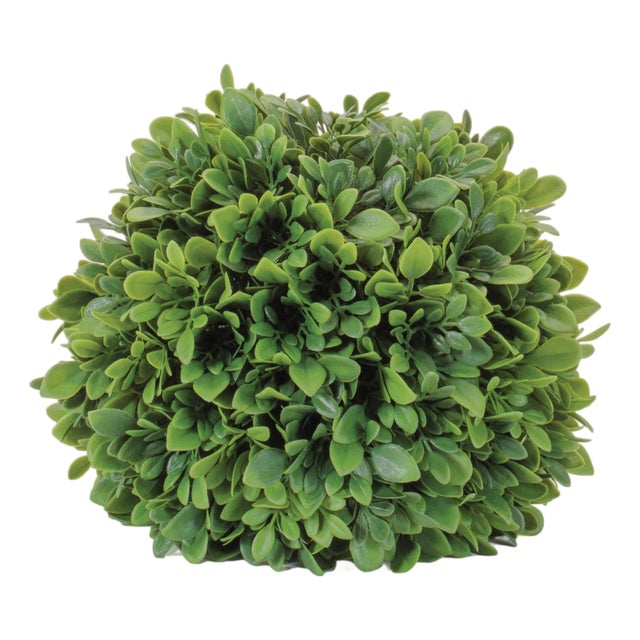 Boxwood Foliage Orb (Set of 2) For Sale