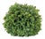 Boxwood Foliage Orb (Set of 2) For Sale