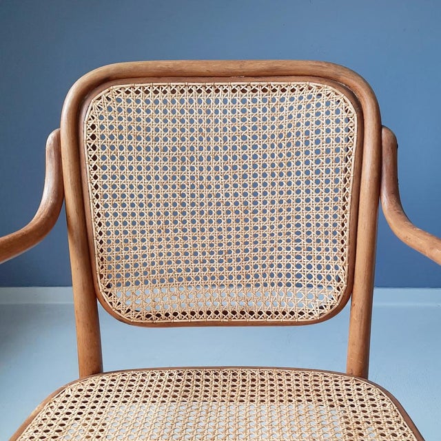 A61 F Armchair by Aldolf Schneck for Thonet, 1930s For Sale - Image 9 of 14