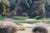 1997 Due Process Stables Golf Course 6th Hole Eagle Signed Photograph 28" For Sale - Image 12 of 12