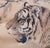 Fine Antique or Vintage Chinese Watercolor Scroll Painting of Tiger on His Daily Walk For Sale - Image 16 of 18