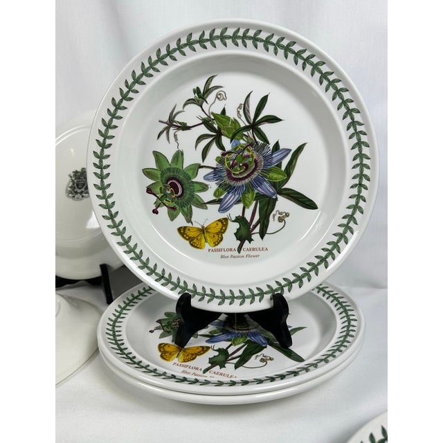 1972 Portmeirion Botanic Garden Dinner Plates- Set of 12 For Sale - Image 11 of 12