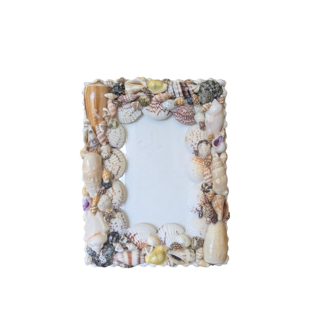 Contemporary Vintage Coastal Regency Sea Shell Encrusted Picture Frame For Sale - Image 3 of 8