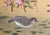 1980-1990s Chinese Folding Screen "Blossoming Cherry Tree and Mandarin Ducks" For Sale - Image 4 of 12