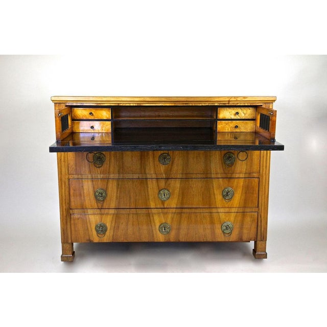 Antique Biedermeier Chest of Drawers, Austria, 1830 For Sale - Image 3 of 18