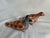Pair of Vintage Mexican Folk Art Hand Painted Clay Bird Pidgeons For Sale - Image 9 of 12