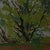 Ukrainian Spring Landscape Oil Painting on Cardboard, 1974 60-70 For Sale - Image 6 of 6