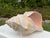 Late 20th Century Vintage Oversized Hand-Painted Oversized Conch Shell Sculpture For Sale - Image 5 of 12