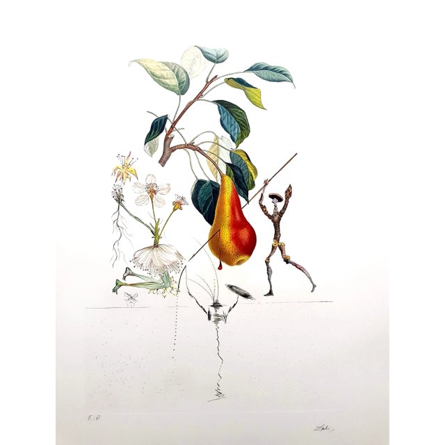 Salvador Dali, Don Quixote Pear, Original Hand-Signed Lithograph, 1969 For Sale - Image 11 of 11