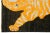 Textile Black and Orange Handmade Wool Rug With a Tiger Design For Sale - Image 7 of 10